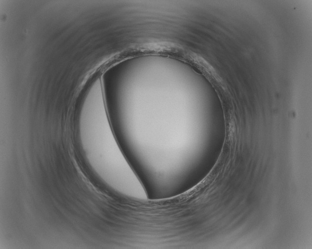 X0000083040444200702020947