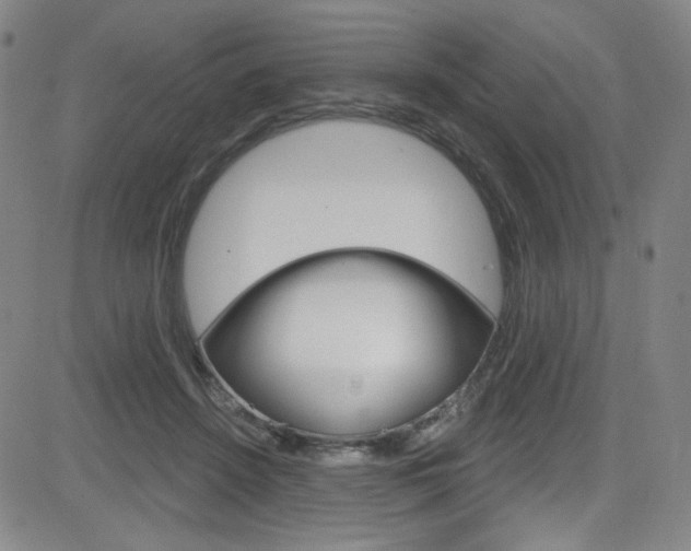 X0000083040456200702020947