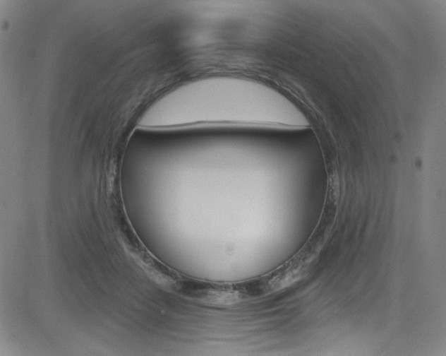 X0000083040458200702020947