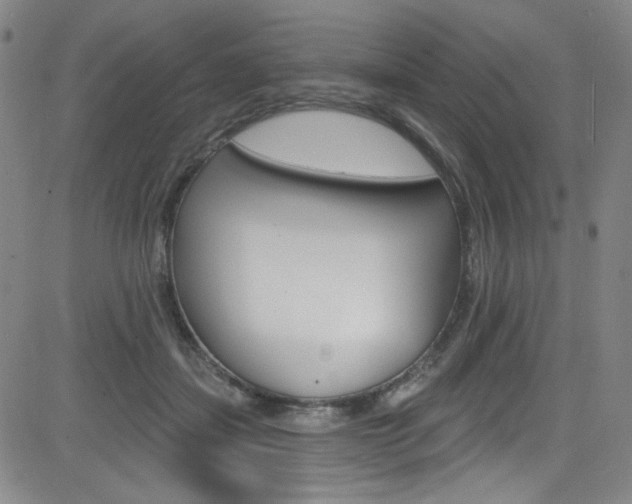 X0000083040459200702020947