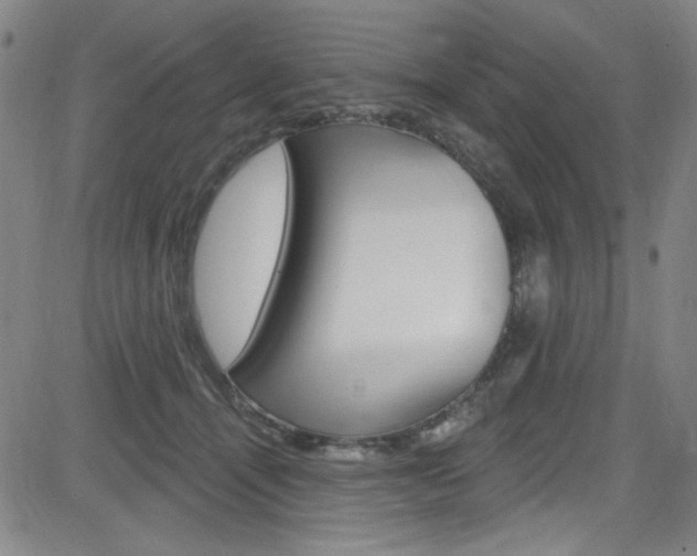 X0000083040464200702020947