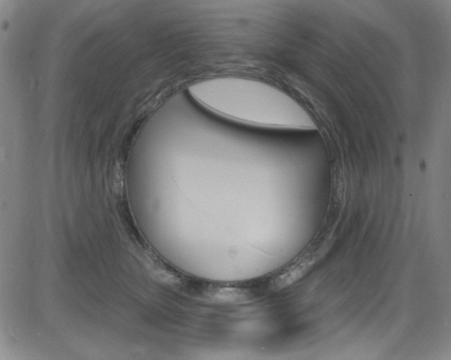 X0000083040467200702020947