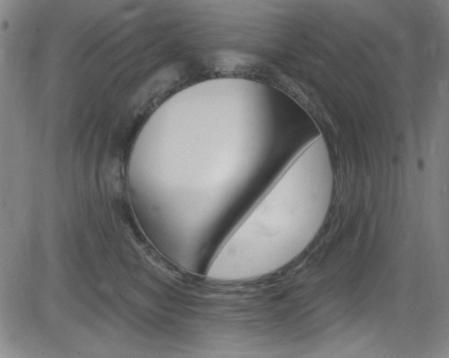 X0000083040470200702020947