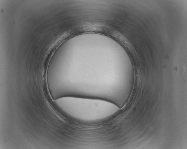 X0000083040490200702020946
