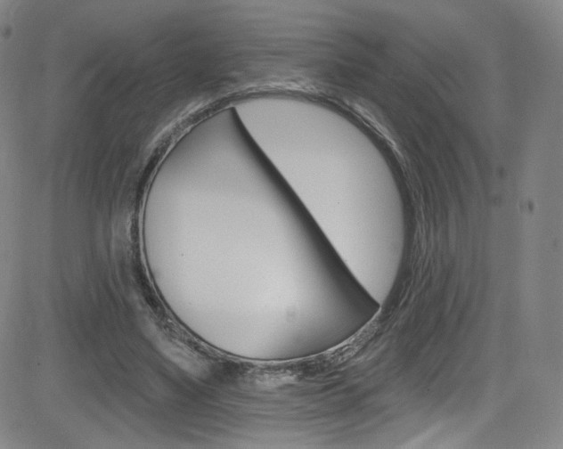 X0000083040491200702020946