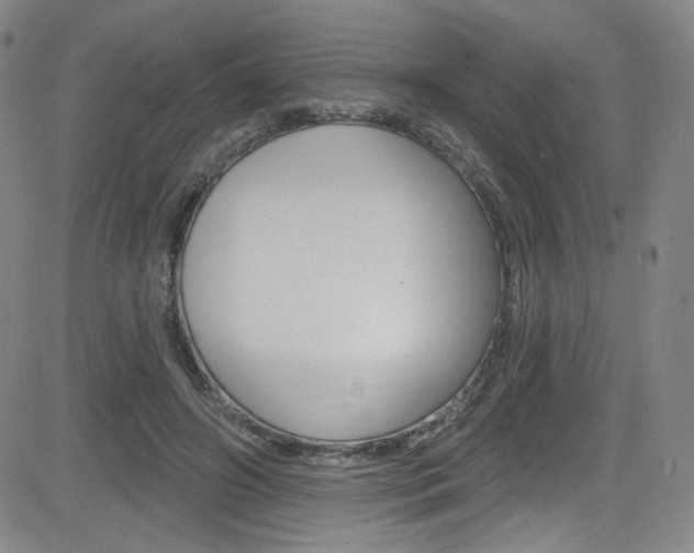 X0000083040498200702020946
