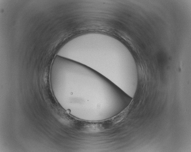 X0000083040499200702020946