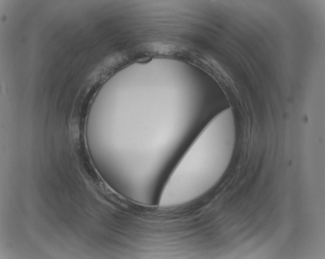 X0000083040500200702020946