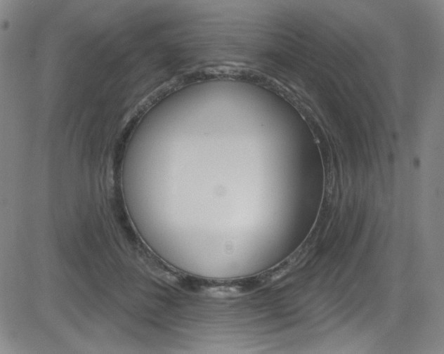 X0000083040508200702020946