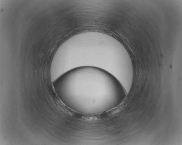 X0000083040512200702020946