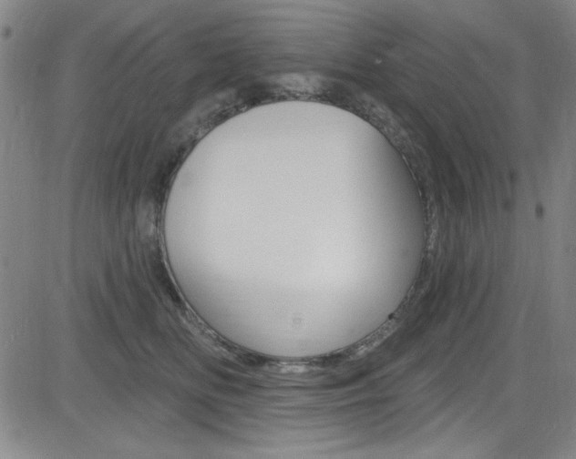 X0000083040518200702020946