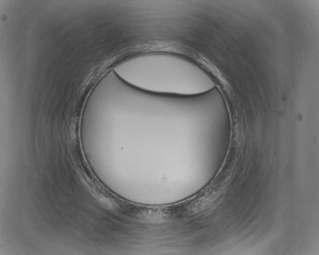 X0000083040537200702020945