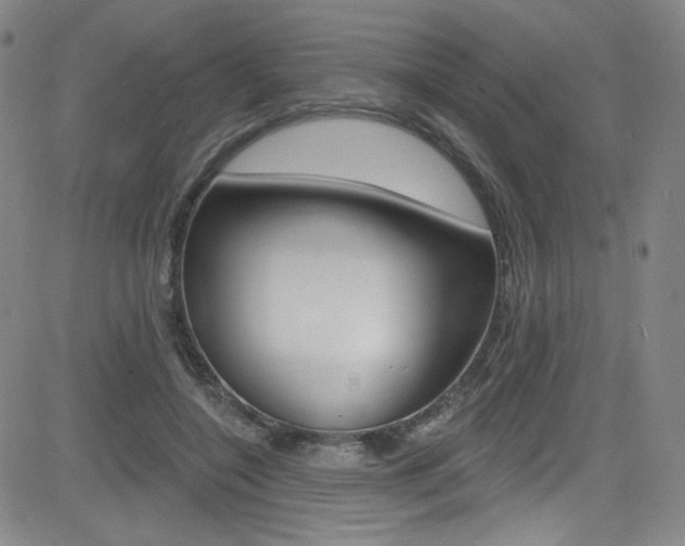 X0000083040548200702020945