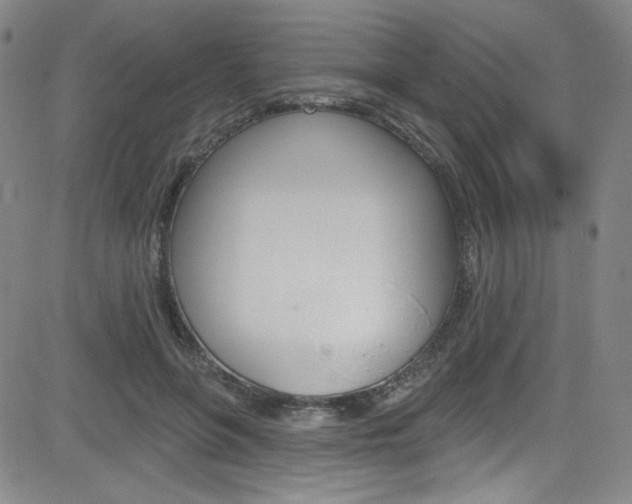 X0000083040551200702020945