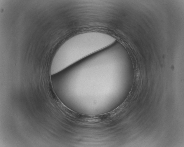 X0000083040555200702020945
