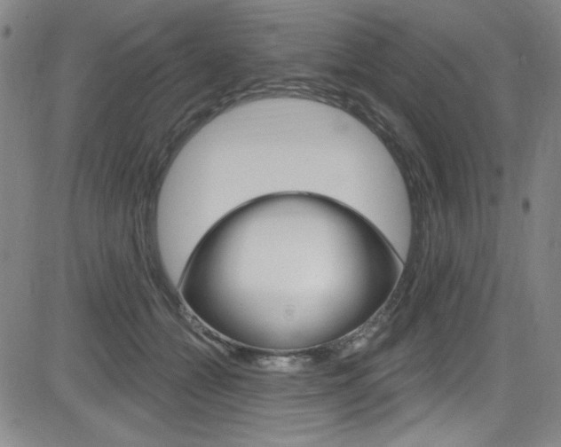X0000083040558200702020945