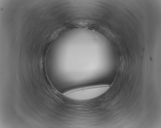 X0000083040562200702020945