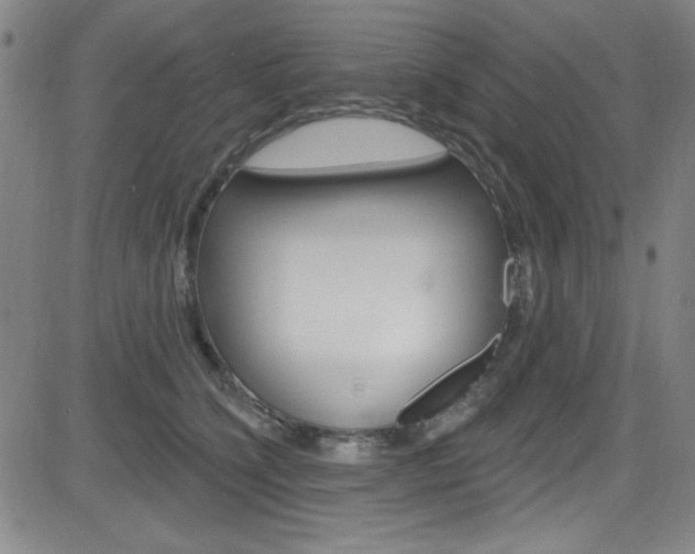 X0000083040564200702020945