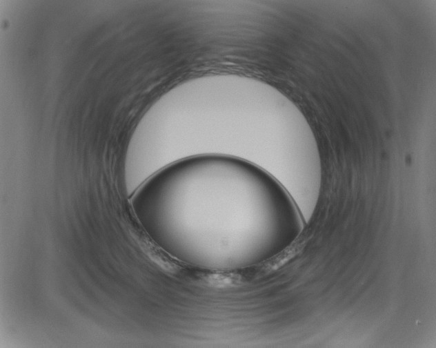 X0000083040566200702020945