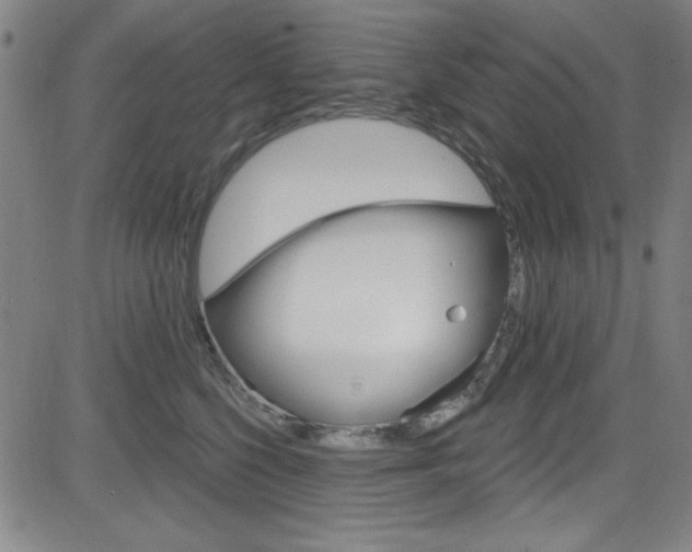 X0000083040568200702020946