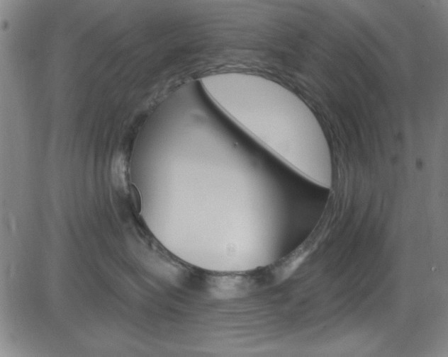 X0000083040575200702020946