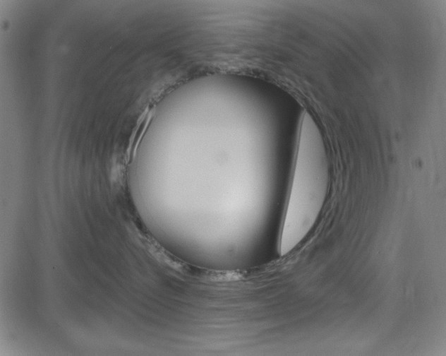 X0000083040576200702020946