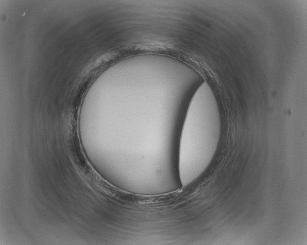 X0000083040591200702020945