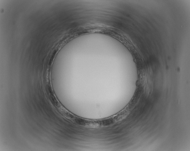 X0000083040598200702020945