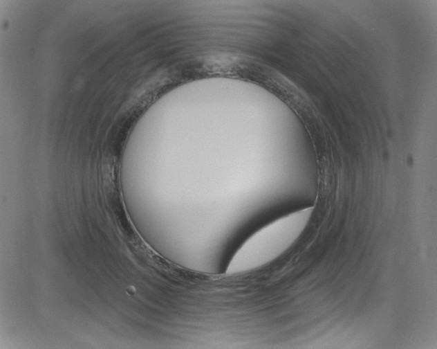 X0000083040603200702020944