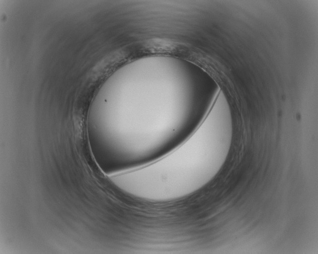 X0000083040604200702020944