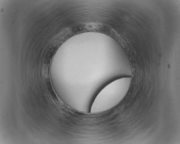 X0000083040606200702020944
