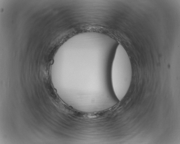 X0000083040607200702020944