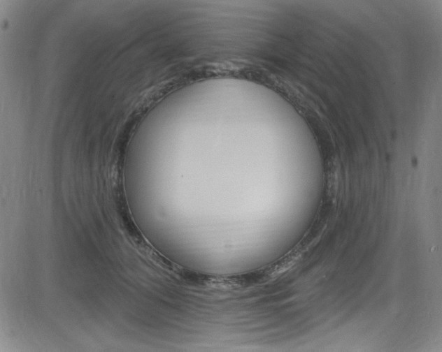 X0000083040608200702020944