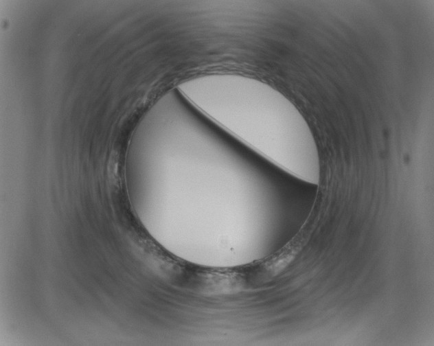 X0000083040615200702020944