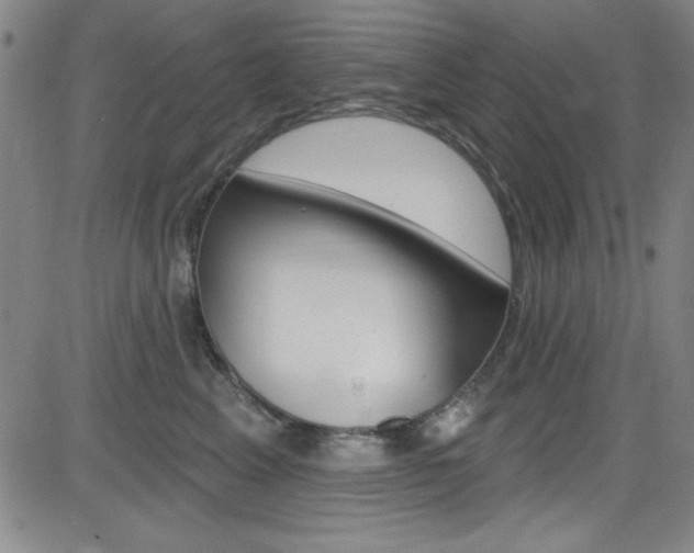 X0000083040617200702020944