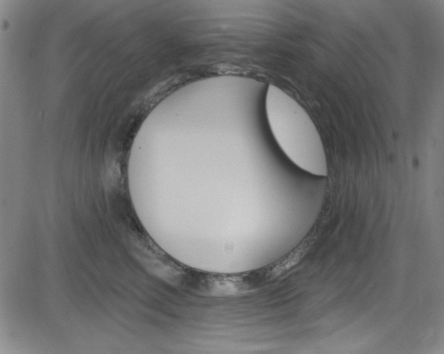 X0000083040618200702020944
