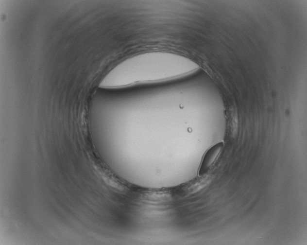 X0000083040619200702020944