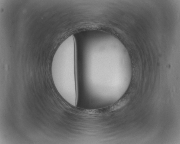 X0000083040624200702020944