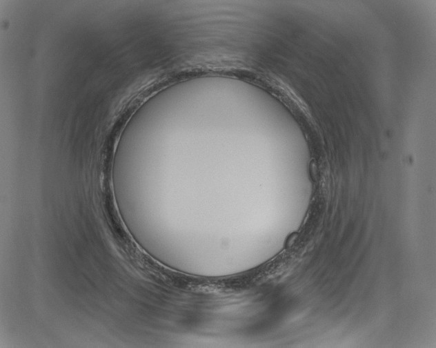 X0000083040635200702020943