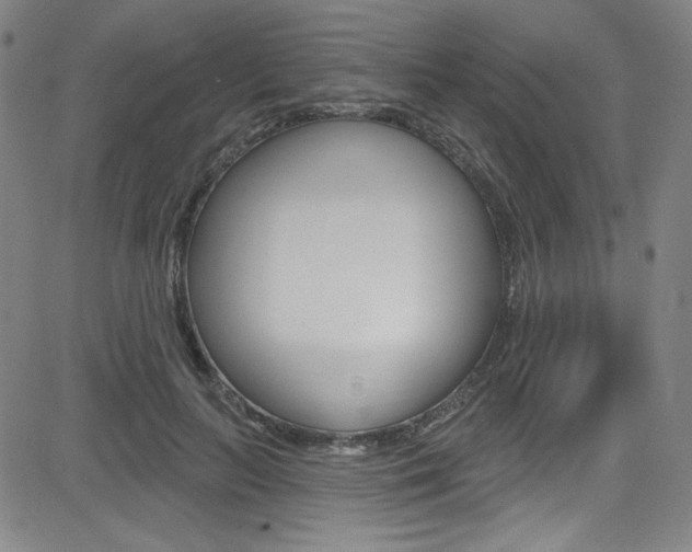 X0000083040647200702020944