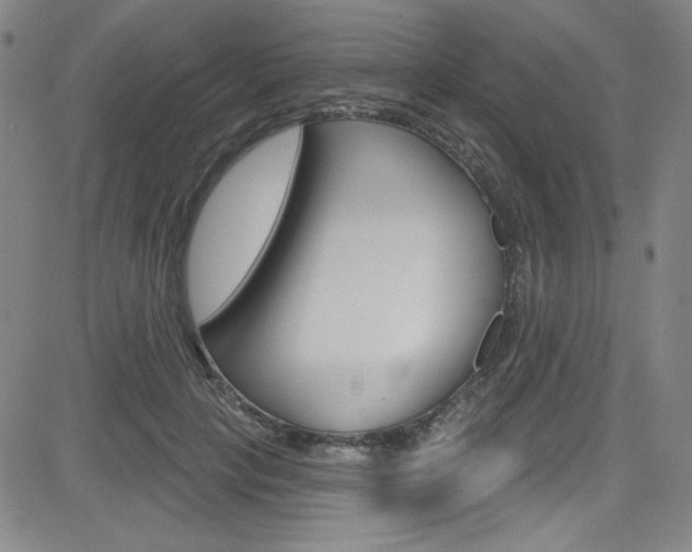 X0000083040649200702020944