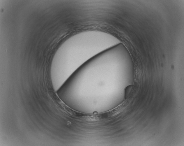 X0000083040652200702020944
