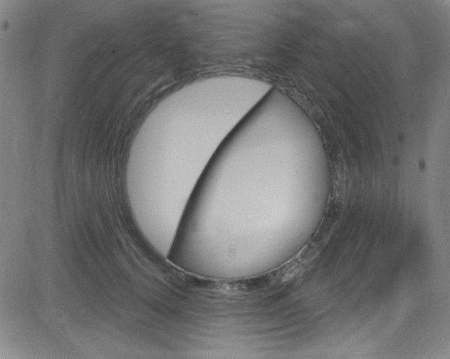 X0000083040656200702020944