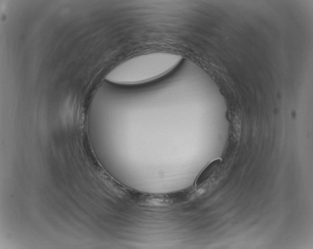 X0000083040657200702020944