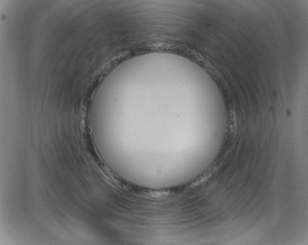 X0000083040664200702020944