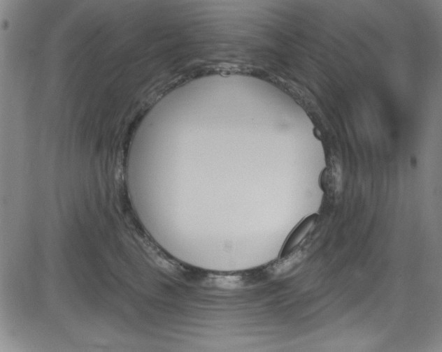 X0000083040665200702020944