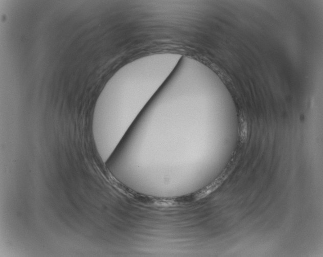 X0000083040666200702020944