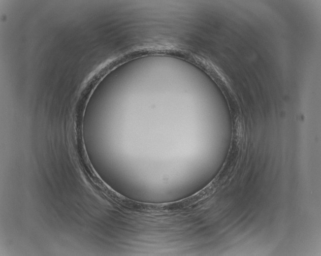 X0000083040684200702020943