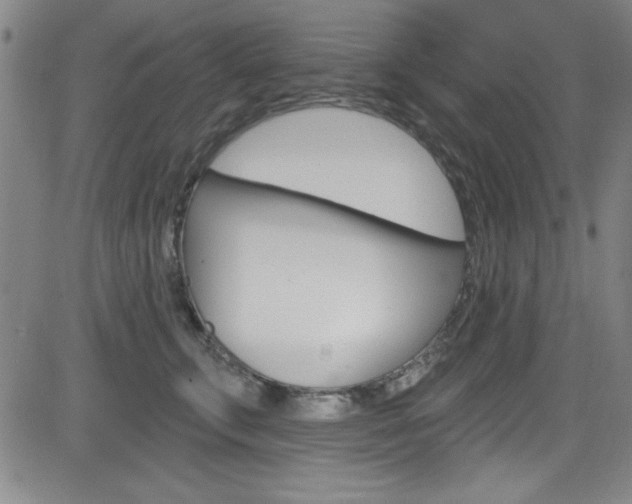 X0000083040711200702020943