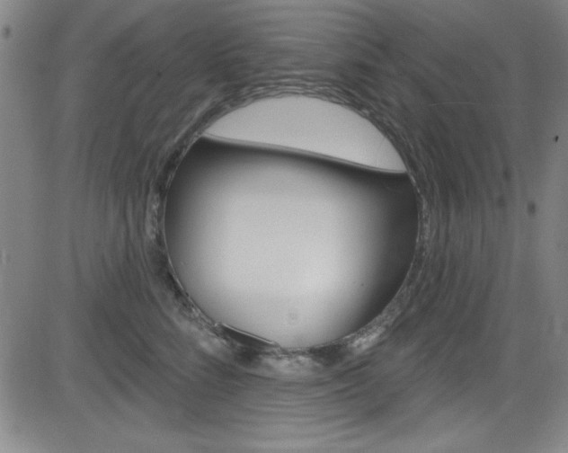 X0000083040712200702020943